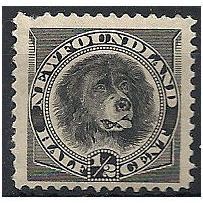 Newfoundland 1894 SG59 1/2c Black Mounted Mint .. .