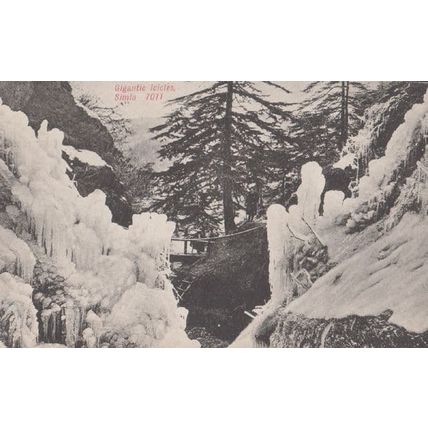 Gigantic Icicles In Simla Disaster Weather Antique Indian Postcard
