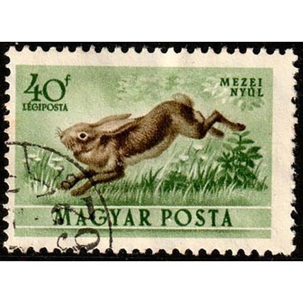 Hungary 1953 Animal Hare 40f Used Stamp Rabbit