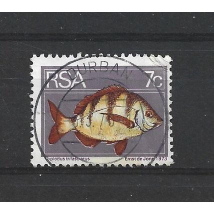 SouthAfrica.SG354 7c Bontrok Seabream.Fine Used.Sep25b