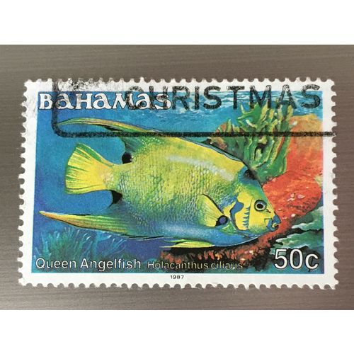 Bahamas QEII 1987 Fish 50c Queen Angelfish Used SG 796 Sc 613c postage stamp