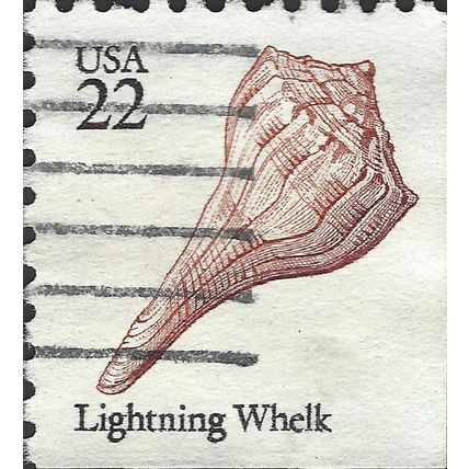 USA, MOLLUSCS, Lightning Whelk, white 1985, 22c #3