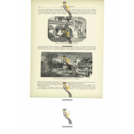 Court Of House & Pegnitz River, Nuremberg, Germany, Book Illustration, c1880
