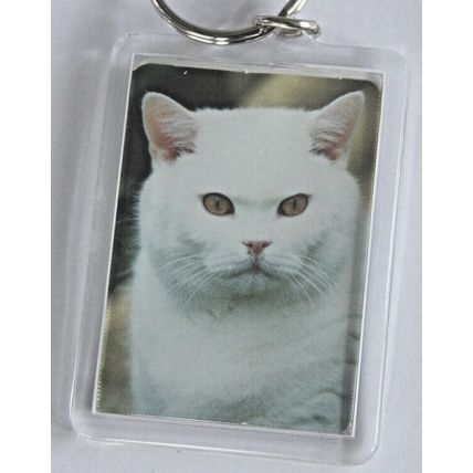 CAT BREED KEY RINGS QUALITY ACRYLIC DOUBLE SIDED PHOTO KEY RINGS 8 BREEDS