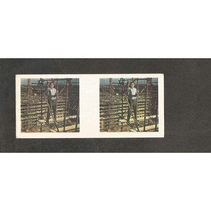 Weetabix 3D Cards 1960 Thrill #11 Spiderman