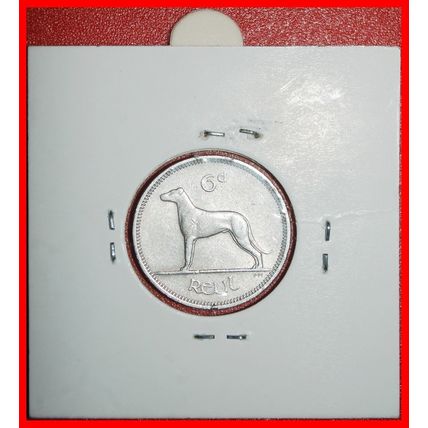 Ⰶ GREAT BRITAIN (1942-1969):IRELAND★6 PENCE 1961 DOG★HOLDER★LOW START★NO RESERVE