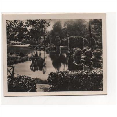 Caernarvon Wales. Vintage RP snapshot of the gardens in Public Park Caernarvon