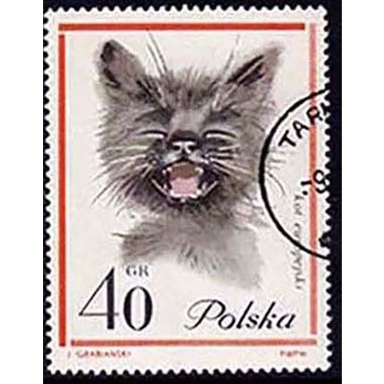 Poland 1964 Cats 40gr Used Stamp