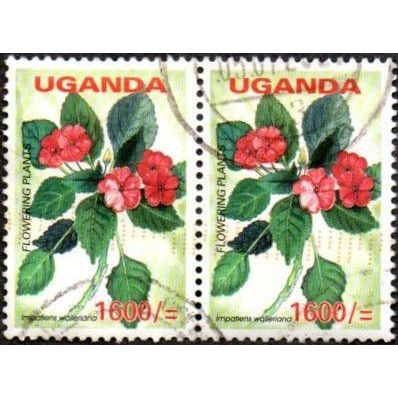 Uganda. 1600/= Value. Impatiens Wallediara . Fine Used Pair