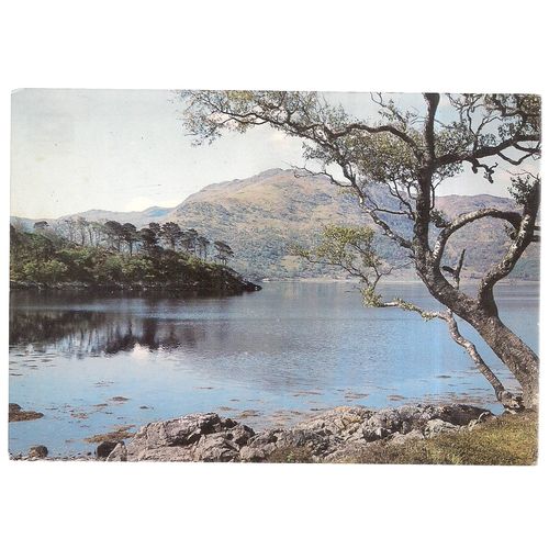 LOCH SUNART, Argyll unused postcard J.Arthur Dixon PAR/85287 =