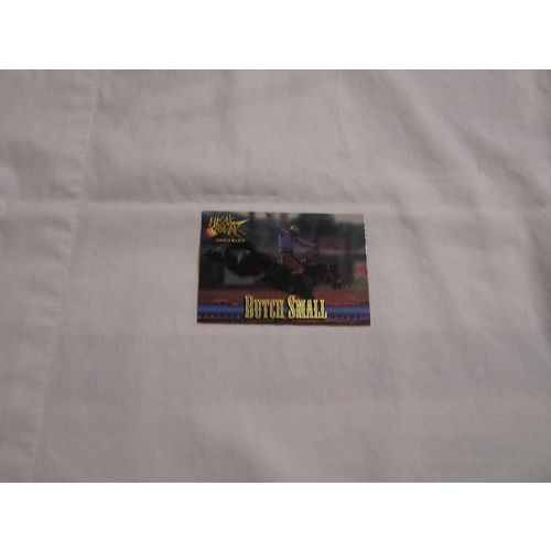Bruce Small 1995 High Gear Rodeo GOLD NO. 52