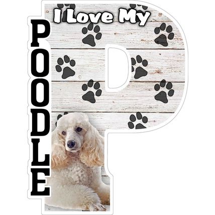 I Love My Poodle- White Fridge Magnet