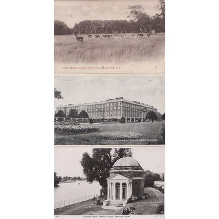 Hampton Court Palace Gardens South East Fronts WW2 Antler Deer Park 3x Postcard
