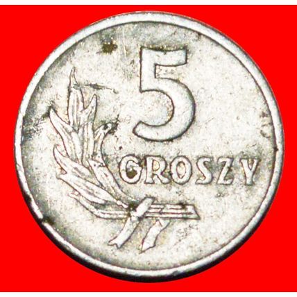 Ⰶ SOCIALIST STARS ON EAGLE 1958-1972: POLAND 5 GROSZES 1959★LOW START★NO RESERVE