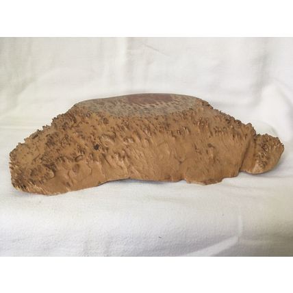 Rare Australian COOLIBAH COOLABAH BURL Large Handcrafted Bowl Dish 970 Grams
