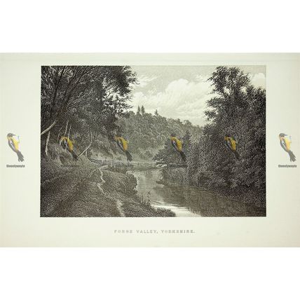 Forge Valley, Yorkshire, England, Book Illustration (Print), 1895