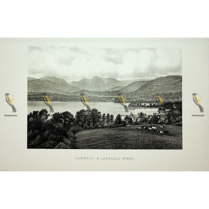 Lowwood & Langdale Pikes, Cumbria, England, Book Illustration (Print), 1895