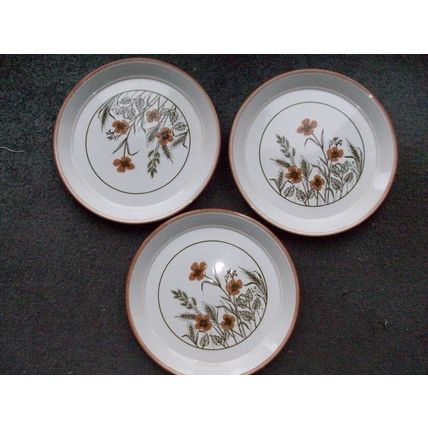 DINNER PLATES x 3 RAISED RIMS FLORAL IN AUTUMNAL COLOURS 25.3cms DIAMETER **GC**