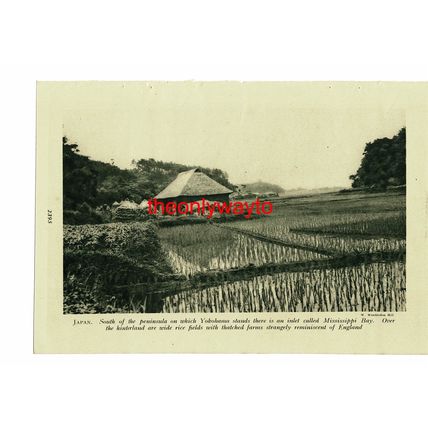 Miyajima, Hiroshima, Japan (Mississippi Bay Yokohama Reverse), Book Illustration
