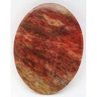 Petrified Wood Freeform Gemstone Cabochon 12