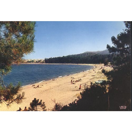 France Postcard 1973 - Charmes Et Couleures De La Corse - Solenzara
