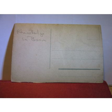 RHEINBRUCKE, BONN, GERMANY unused antique postcard (a) #