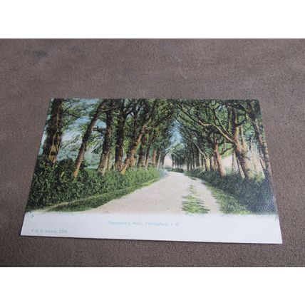 Early F.G.O Stuart Postcard - Tennyson's Walk, Farringford - Isle of Wight