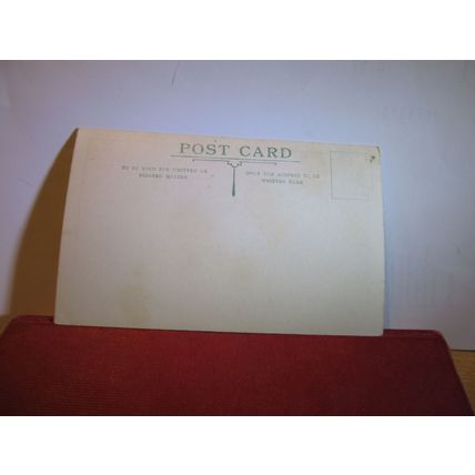 near THE RUFUS STONE, NEW FOREST, HAMPSHIRE unused vintage postcard =