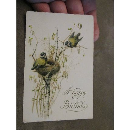 1923 Birthday Greeting Postcard - Blue Tits - Birds / Twitcher interest