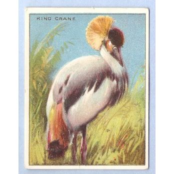 Tobacco Card ~ Company: American Tobacco Company Brand: Hassan Cork Tip Ci~57