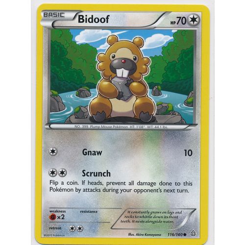 Pokemon XY Primal Clash #116/160 Bidoof