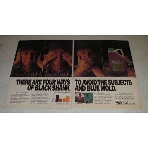 1986 Ciba-Geigy Ridomil Ad - Avoid Subjects of Black Shank and Blue Mold