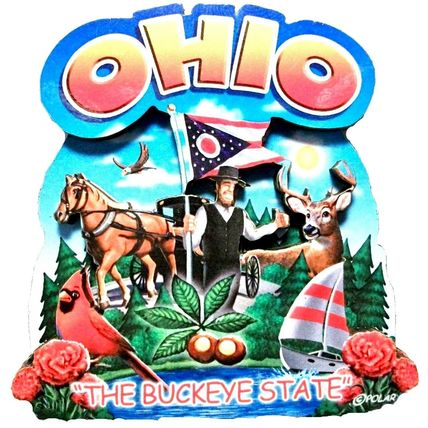 Ohio the Buckeye State Artwood Montage Fridge Magnet