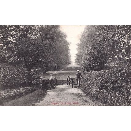 Ongar The Long Walk Antique Essex Postcard