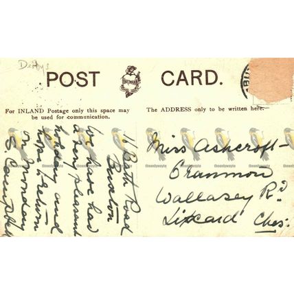 Pavilion, Buxton, Derbyshire, Hartmann 2529.2 Postcard