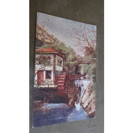 1904 Palace printing Postcard - Groudle Glen scene - Isle of Man