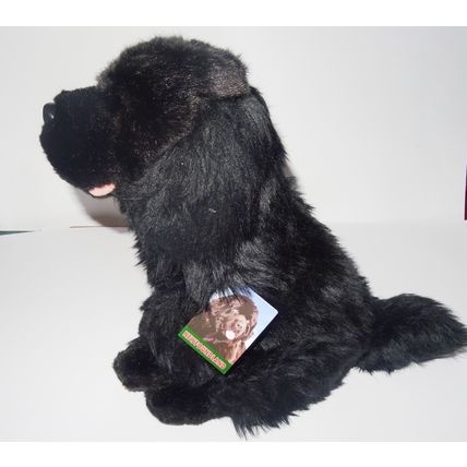 Newfoundland 12" toy dog as it is, personalised, gift wrapped, 3 options