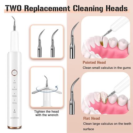Plaque Remover for Teeth, Electric Tooth Cleaner Tartar Remover for Teeth with L