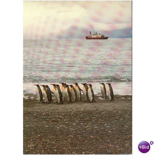 GB Postcard - HMS Endurance A171