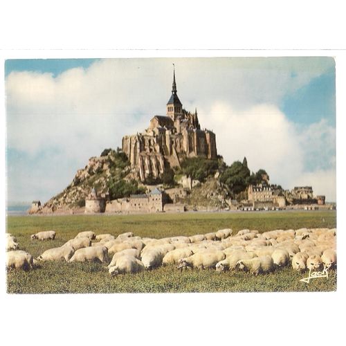LE MONT-SAINT-MICHEL, FRANCE unused vintage postcard Sheep =