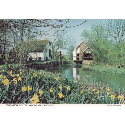 Education Centre Woods Mill Reserve Sussex Wildlife Trust Postcard