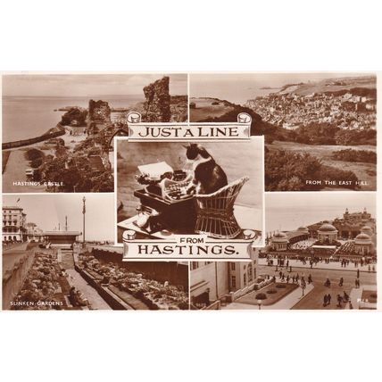 Cat Typing Secretary Just A Line From Hastings Real Photo Postcard