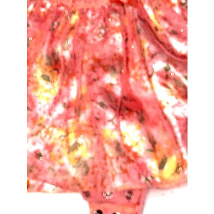 Swiggies Infant 0-3m Baby Girl Circle Dress Bodysuit Pink Lace Colorful Flowers