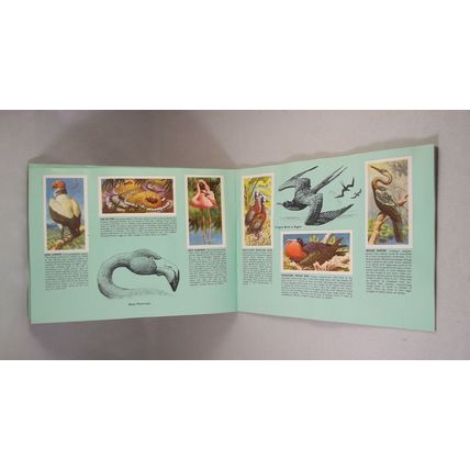 Brooke Bond Tea Card Album: 1974 Tropical Birds, Complete With All Cards