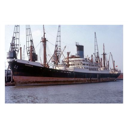 SL0970 - Blue Funnel Cargo Ship - Ascanius - photograph 6x4