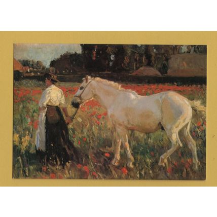 The Poppy Field - Sir Alfred Munn - Postally Unused - Medici Society Postcard