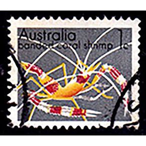 Australia 1973 Marine Life 1c Used Stamp.