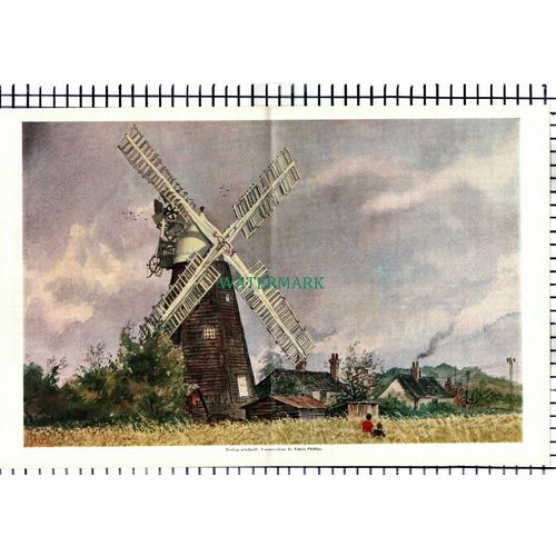 (7087) Terling Windmill Essex Edwin Phillips - Centrefold Spread 1970
