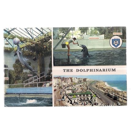 THE DOLPHINARIUM, BRIGHTON, SUSSEX used vintage postcard by Elgate 1974 pm =