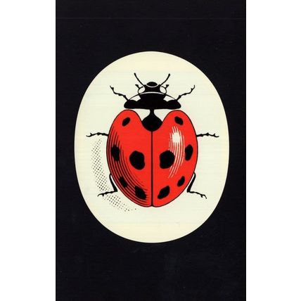 Ladybird Childrens Book Giant Commemorative Logo Postcard